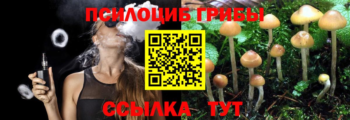 Псилоцибиновые грибы ЛСД Павловский Посад